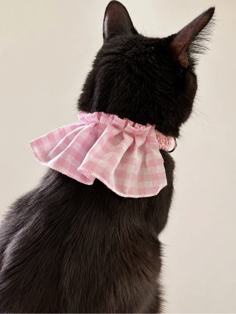 Ruffle + Collar Set for Pets